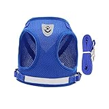 Supvox 2 Sätze Haustierweste Laufleine Für Haustiere Haustier Geschirr Katzengeschirr Hundeweste Halftergeschirre Für Hunde Hundeleine Warnweste Kein Hundegeschirr Blue Polyester