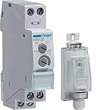 Hager EEN100 Dämmerungsschalter mit Aufbaufühler EEN003 3250617579308, Grau