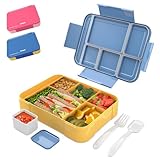 bumpli Lunchbox Gourmet – Brotdose Kinder mit Fächern, Ideal für Schule, Ausflüge – Robuste Brotbox, Lunchbox Schule, Kinder Brotdose mit Stil, Brotdose Schule