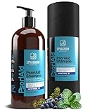 NEUES 2025 Psoriasis Shampoo mit Salicylsäure – Natürliche Formel für schuppenflechte Kopfhaut mit Torf und Menthol, beruhigt juckende, schuppige und rote Kopfhaut. Anti Schuppen, 400ml