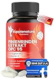 Pinienrindenextrakt - 750mg pro Kapsel - PREMIUM: mit L-Arginin & Vitamin C – Französische Seekiefer mit 95% OPC | Kiefernrindenextrakt ohne Zusätze – SUPPLENATURA®