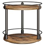 YATINEY Gewürzregal, 2-stufiger drehbarer Organizer, kreisdrehbares Lagerregal, kompakter Gewürzhalter mit Drehscheibe, für Küchentheke, Esstisch, Schminktisch, Büro, Vintagebraun und Schwarz XSR22BR