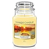 Yankee Candle Autumn Sunset Duftkerze, Große Kerze im Glas, Gelb, 10.7 cm, Sandalwood,Cedar