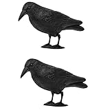 rg-vertrieb Taubenschreck Vogelscheuche Taubenabwehr Vogelabwehr Vogel stehende Krähe Rabe Vogelschreck (2 Stück)