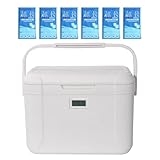 Isolierte Kühlbox | 5,5L Kühltasche Tragbar | Mobiler Kühlbehälter Mit 3-Schicht Isoliersystem Für Urlaub Arbeitspause & Roadtrips