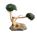 AWXZOM Echter kleiner Bonsai-Aquarium-Baum, 2 Köpfe 10,2–15,2 cm Höhe, handgefertigter natürlicher Aquarium-Bonsai-Baum mit getrocknetem Moos. !