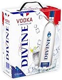 Pure Divine - Französischer Vodka aus den Nordvogesen - 37.5 Prozent Vol - Großpackungen 2 Liter - Wodka Bag in Box (1 x 2 l)