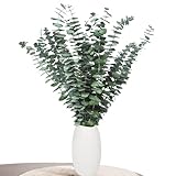 Aufisi Eukalyptus Deko - 22 Stück Getrockneter Eukalyptus (43cm+), Eukalyptus Getrocknet für Deko, Hochzeiten, Wohnaccessoires, Trockenblumen Arrangement, Grün