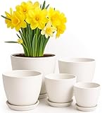 Utopia Home 5er-Pack Blumentopf 18/17/15/13/12 cm Übertopf mit Untertasse Für Küche, Balkon Blumentöpfe mit Untertasse Gartenpflanzen Sukkulenten, für Zimmerpflanzen Weiß.
