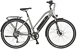 Prophete E-Bike Entdecker, Elektrofahrrad mit 8 Gang Shimano Altus Schaltwerk, Kettenschaltung, Blaupunkt Akku, Heckmotor 250 W, grau