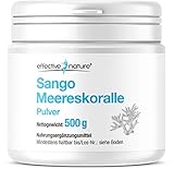 Sango Meereskoralle Pulver - 500 g Sango Koralle mit Calcium und Magnesium im optimalen Verhältnis 2:1 - Hochdosiertes Sango Meereskoralle Pulver