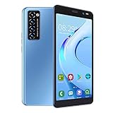 günstige handys,Smartphone ohne vertrag,Face Unlock Smartphone, LANDVO Rino4 Pro 5,45 Zoll Face Unlock Dual Cards Dual Standby Smartphone 512 MB + 4 GB (Blau)