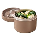 Lunchbox aus Metall – Doppelschichtige Thermo-Lunchbox, isolierter Lunchbehälter, Edelstahl-Lunchbox, Bentoo-Box, Lunchbox, Mahlzeiten-Vorbereitungsbehälter mit Griff für Reisen, Arbeit, Picknick
