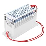 Tragbarer Ozongenerator aus Keramik, 10 g/h, doppelte integrierte Platte, Ozonisator, Wasser-Luftreiniger