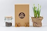 VietBeans Kaffeebohnen Probierset in Geschenkbox - Vier spannende Kaffeesorten für Kaffeeliebhaber - Kaffee Geschenkset Ganze Bohnen - Geschenkidee Kaffee - Probier Set 4 x 80g