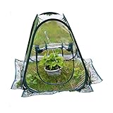 Abaodam Mini Gewächshaus PVC Tragbares Faltbares Garten Zelt für Pflanzen Wetterfestes Gewächshaus für Outdoor Nutzung Abnehmbare kein Werkzeug Erforderlich
