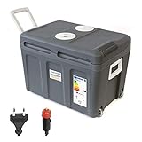 Dino KRAFTPAKET 131002 Kühlbox 12V 230V (Wärmt und Kühlt) Grau, Höhe: 42cm Größe: 40-Liter, Elektrische Kühlbox für Auto Boot Camping, Elektrokühlbox mit ECO-Modus