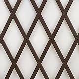 TENAX Treplas 50x200 cm Braun, Ausziehbares Rankgitter als Hilfe für Kletterpflanzen und Blumen