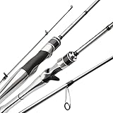 Silver Needle Angelruten aus Carbon Alle Zubehör Casting- und Spinnruten Köderruten Angelausrüstung (1,8 m Casting L)