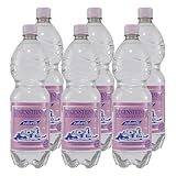 Regensteiner Mineralwasser -Naturelle- (12 x 1,0L)