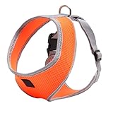 Toyvian Hundegeschirr Mittelgroßes Gepolstertes Sicherheitsgeschirr mit Metallring für Komfortables Gassigehen und Laufen Atmungsaktive Weste in Orange Verstellbar für Hunde und Welpen