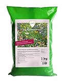 Linsor Blumenwiese 1 kg für 100m², Saatgut für eine bunte, einheimische Wildblumenwiese, Lockt Bienen, Schmetterlinge & Insekten an, Mehrjährig, winterhart & pflegeleicht