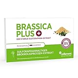 Brassica PLUS – Brokkolisprossen-Extrakt Kapseln – 10 mg stabilisiertes Sulforaphan – 3600 mg Brokkolisprossen – 60% höhere Bioverfügbarkeit