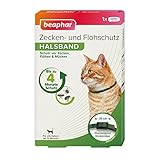 beaphar Zecken- & Flohschutz Halsband Katze | Schutz vor Zecken Flöhen | Wirkt 4 Monate | Katzenhalsband mit Sicherheitsverschluss | Farbe: Grün | Länge: 35cm