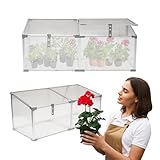 Grindi Frühbeetaufsatz - Mini Gewächshaus Magnolia I 60x51x51 cm - Gewächshaus klein Balkon - Garten Polycarbonat - Hochbeet Balkon Treibhaus - Frühbeetkasten - Laarbeek Mini