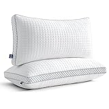 BedStory kopfkissen 40x80 mit abziehbarem Bezug,Verstellbare Faserfüllung Hotel Kissen mit reißverschluss, 2er Set Kissen aus 950g x 2 mikrofaser, Waschbares nackenkissen für Allergiker
