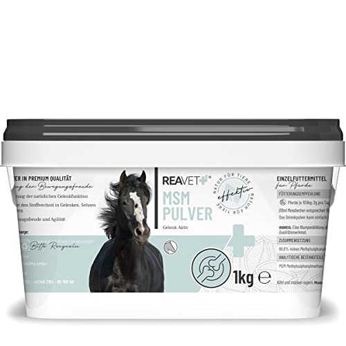 ReaVET MSM Pulver 1kg - MSM für Pferde, Organischer Schwefel, rein & hochdosiert I Gelenk Pulver für Pferde, Methylsulfonylmethan für Tiere bei Gelenkproblemen