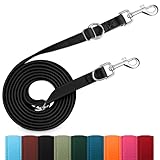 PETCOOZ Hundeleine 3 m Verstellbare Schleppleine mit 2 Karabiner, Verdickte Doppelleine Führleine für Kleine Mittelgroße Hunde, Freihandleinen Übungsleine aus Nylon, Schwarz