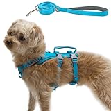 Wuffley Hundegeschirr mit Leine, Sicherheitsgeschirr Hund Ausbruchsicher, Anti Zug Hundegeschirr mit Assistenzgriff und Reflektierende, Leichtes Verstellbare Geschirr für Mittelgroße Hunde (Blau,S)