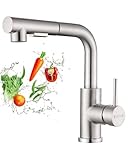 DAYONE Küchenarmatur mit Herausziehbarem Spray, SUS304 Edelstahl Hochdruck Wasserhahn Küche, Mischbatterie Küche mit 2 Funktionen, 360° schwenkbare Spültischarmatur Küche