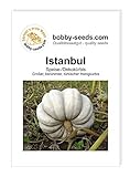 Istanbul Türk Honigkürbis von Bobby-Seeds, Portion