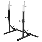 GORILLA SPORTS® Langhantelablage - 79 x 150-190 x 133 cm, Höhenverstellbar, mit Dip-Ständer, bis 250 kg belastbar, Stahl - Langhantelständer, Squat Rack, Kniebeugenständer, Hantelständer, Hantelablage