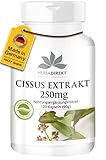 Cissus Kapseln - Cissus Quadrangularis Extrakt 250mg - 20% Ketosterone - 120 Kapseln | HERBADIREKT by Warnke Vitalstoffe - Deutsche Apothekenqualität