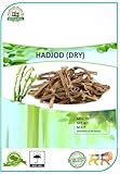 DX HADJOD Knochen und Gelenk, 100 g/m²