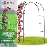 Rosenbogen Gartenbogen Torbogen Rankhilfe für Kletterpflanzen und Rosen aus Metall grün (Gartenbogen)
