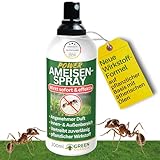 GREEN GUARDIA Ameisen Abwehrspray – Sprühfertiges Konzentrat mit pflanzlichen Ölen | 200 ml für Innen & Außen | gegen Ameisenstraßen, Nester, Terrassen