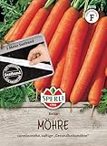 Sperli Möhrensamen Rotin, 81771 - frühe Snack-Möhre, süßlicher Geschmack - Inhalt für 8-10 lfd. Meter - Gemüsesamen, Samen Gemüse, Gemüsepflanzen
