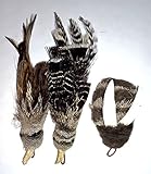 Nachfüllpackung für Vögel und Bienen (Finch, Gila und Biene) – passend für Wildcat, Da Bird, Cat Catcher und Da Bee Stöcke und Zauberstäbe