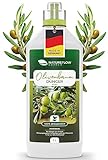 Dünger für Olivenbäume - Olivembaum Dünger Flüssig - 1L Biologischer Olivenbaum Spezial-Dünger aus Vinasse - Ökologischer Olivendünger für gesundes Pflanzenwachstum