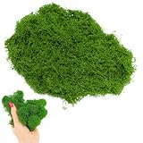 Tcnzdy 100g Moos, Deko Moos KüNstlich, Moos Zum Basteln Kunstmoos Kunstmoos Zum Dekorieren für DIY Set/Gartenkunst/Wanddekoration/Floristen Dekor/Oster Tischdekoration/Hochzeitsdekoration