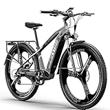 cysum Speedy E-Bike Damen Herren, 27,5/29 Zoll E-Mountainbike, Elektrofahrrad mit 48V14Ah Wechselakku, 100km Reichweite, 25km/h, Hydraulische Scheibenbremse (29'' GRAU)