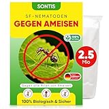 SONTIS - Aktive SF-Nematoden gegen Ameisen – 2,5 Mio für 5qm - Natürliche Unterstützung bei Ameisen im Garten - mit Nestwirkung – umweltfreundlich, ohne Chemie, einfach anzuwenden