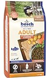 bosch HPC Adult mit frischem Lachs & Kartoffel | Hundetrockenfutter für ausgewachsene Hunde aller Rassen | 1 x 15 kg