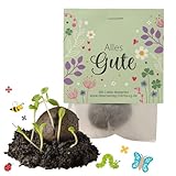 10x „Alles Gute“ Samenbomben – kleines Geschenk & Mitgebsel – Saatbomben für Kollegen, Freunde & Kinder – Blumenbomben mit Blumensamen & Saatkugeln – Seedbombs als nachhaltiger Gruß