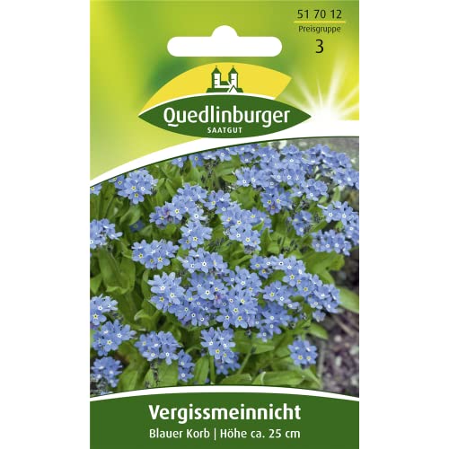 Quedlinburger Vergissmeinnicht 'Blauer Korb', 1 Tüte Samen