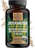 Spermidin -3mg je Kapsel- WICHTIG: Weizenkeimextrakt Hochdosiert MIT 5% Polyamin & 3mg Spermidin pro Kapsel I Laborgeprüft I 120 Spermidin Kapseln Hochdosiert -DE- SCHEUNENGUT®